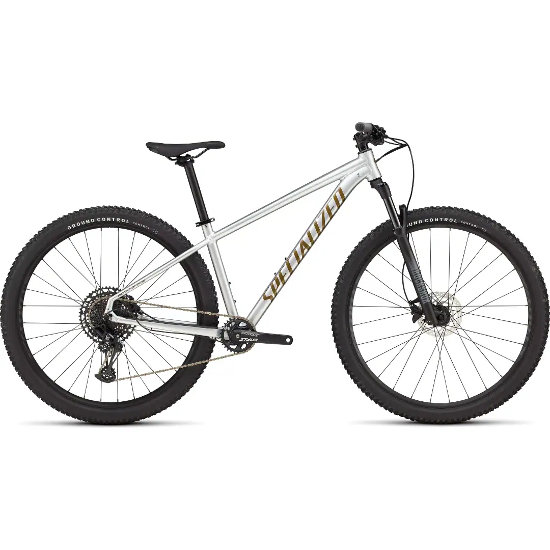 Specialized Rockhopper Expert gloss silver dust/satin burnt gold metallic